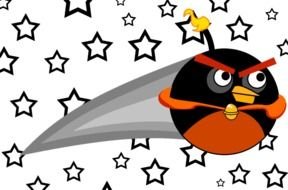 angry bird among the stars as a picture for clipart