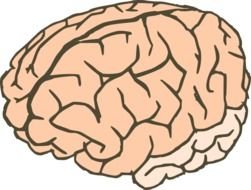 drawn pink brain on a black background