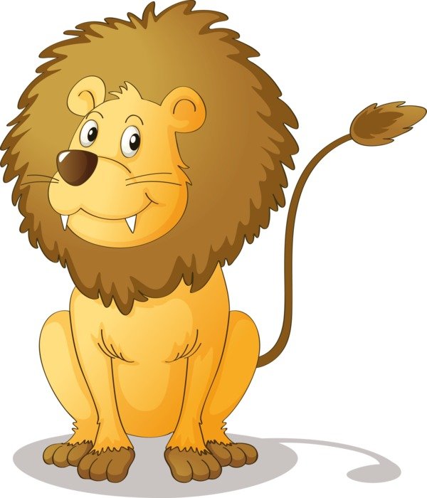 drawing of a cute lion on a white background