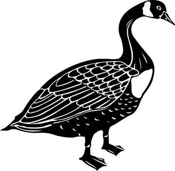 Canadian Geese Goose