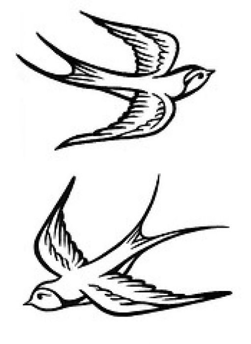 Sparrow Best