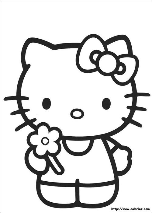 Kitty Aime Bien Parcourir Les Champs Afin De Faire Jolis Bouquets