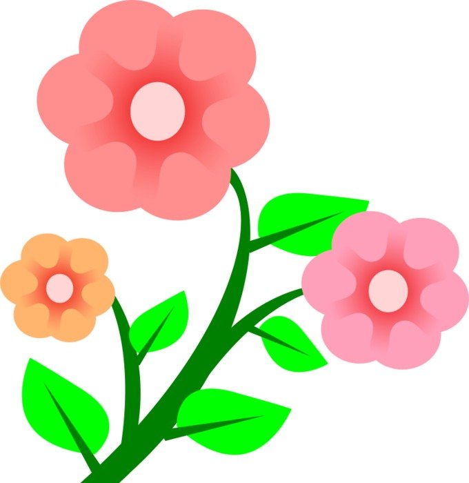 Happy Birthday flower drawing free image download