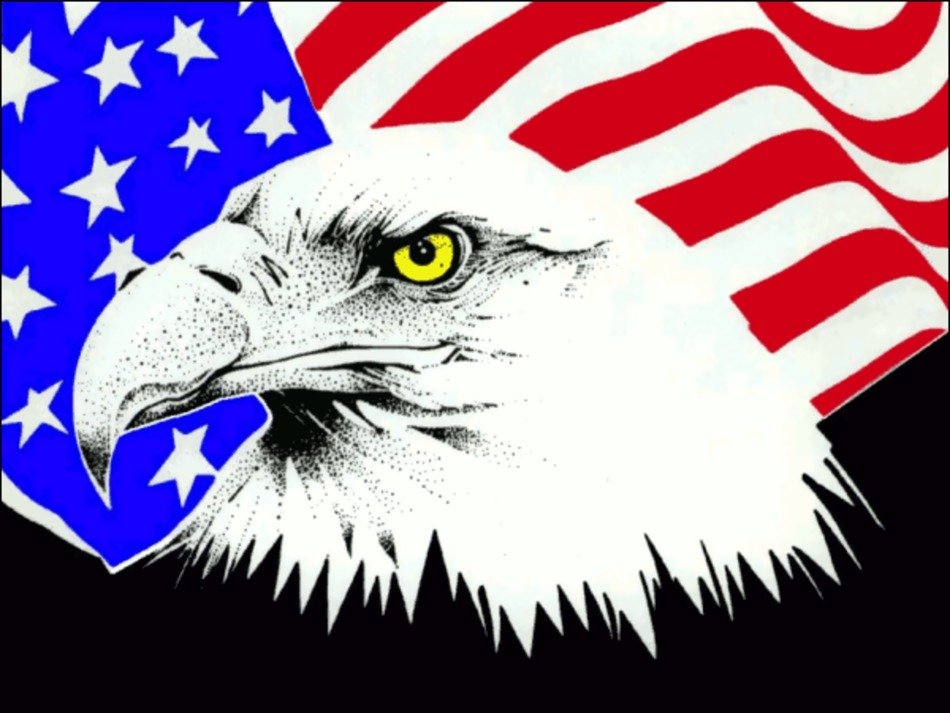 eagle against the background of the american flag as a picture for clipart