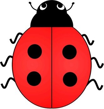 Four Lady Bird Beetle Counting Spots