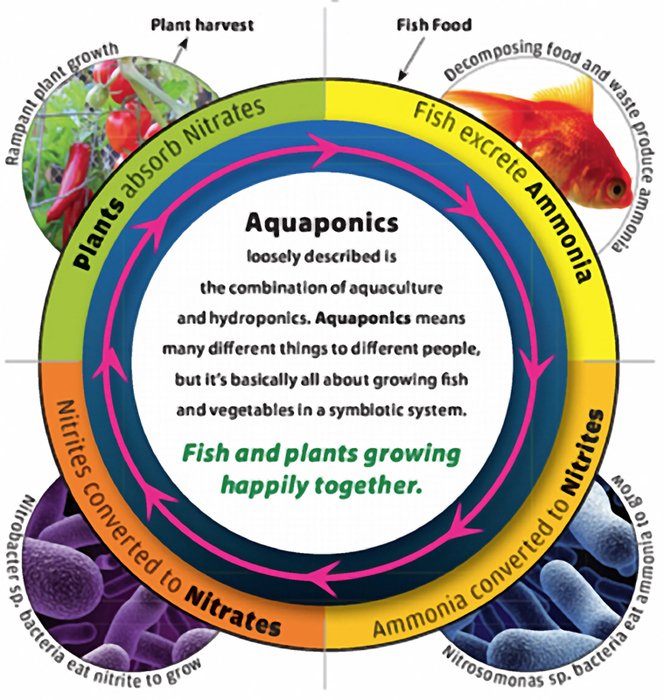 Aquaponics as a picture for clipart