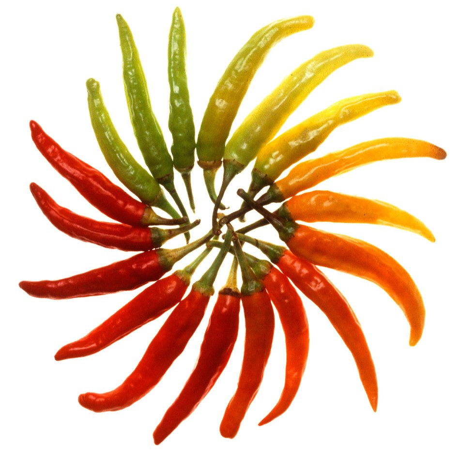 built in a circle colorful chili