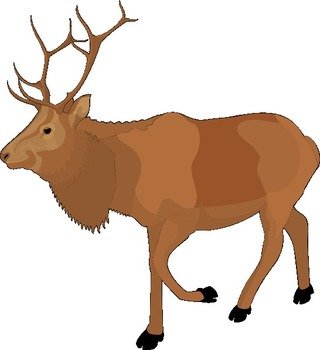 Brown Moose At Clkercom Vector Online Royalty