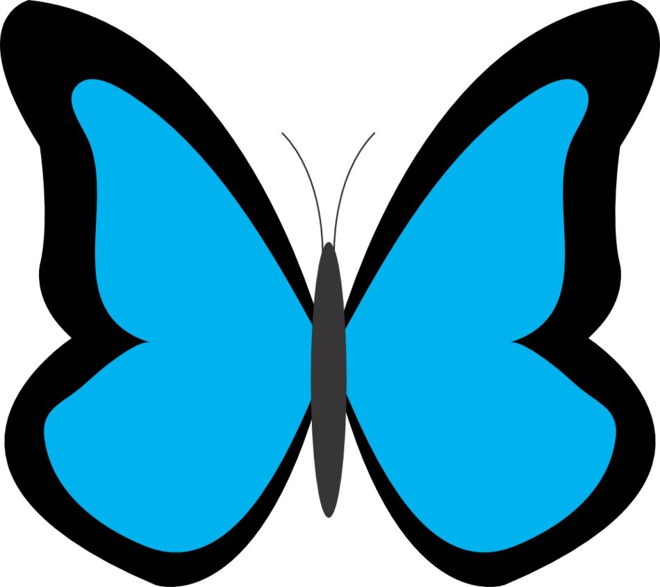 Butterfly Images drawing