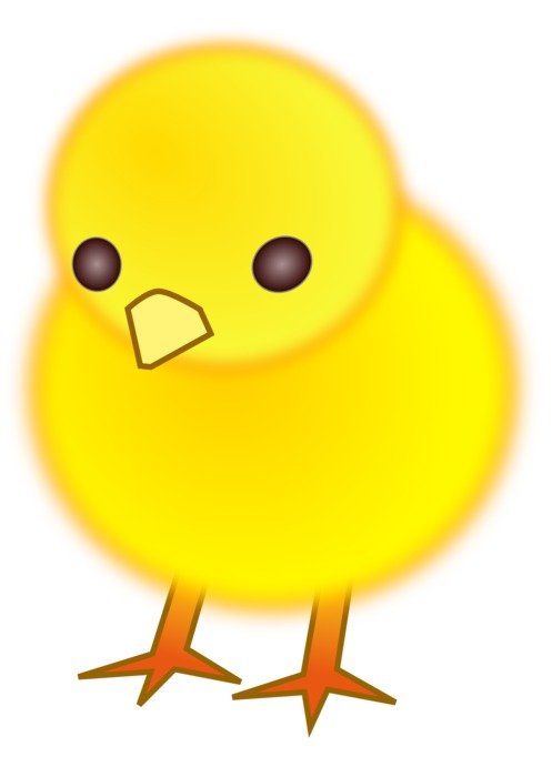 cartoon round chicken
