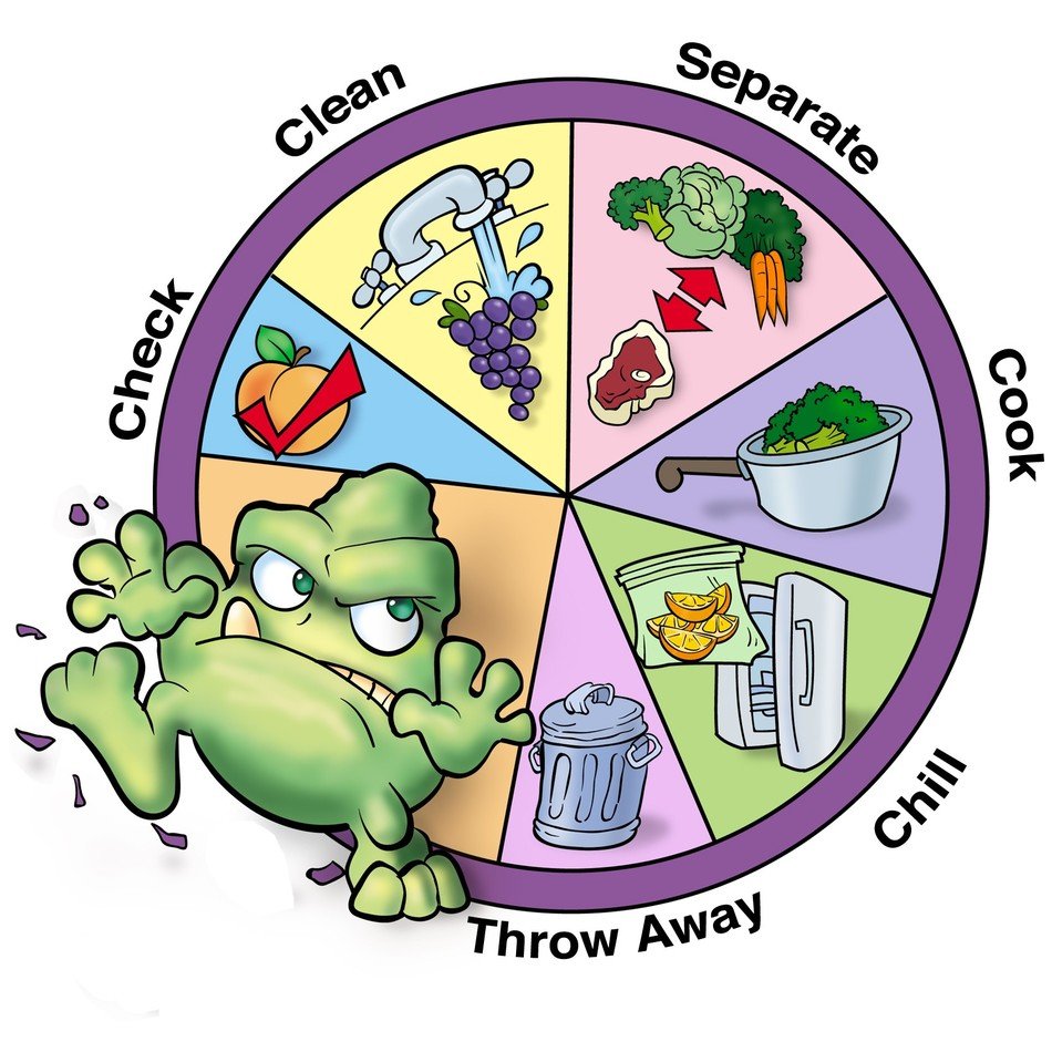 Food Storage, circular diagram