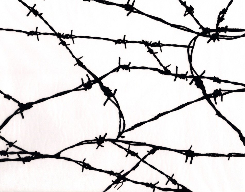 wallpaper with barbed wire