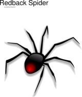 Redback Spider Png And Svg clipart