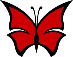 red And black Butterfly, drawing