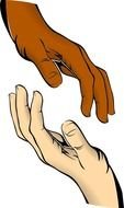 human hands with different skin