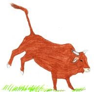 Cartoon Bull drawing