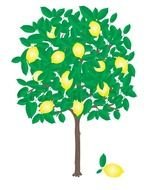 drawing of a green tree with yellow fruits