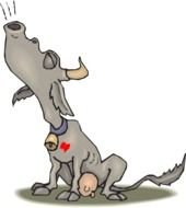 bull sings drawing