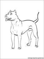 Le Coloriage De Dogue Argentin &224 Imprimer Pour Ceux Qui Aiment Ces