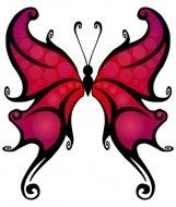 Clipart Butterfly 2 Free Stock Photo Public Domain Pictures