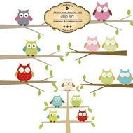 clipart of the colorful owls