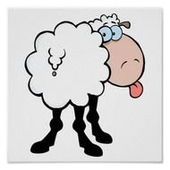 Pictures Cute Sheep Funny 10 11