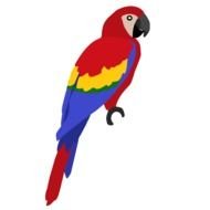 Macaw Parrot red drawing