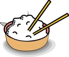 Bowl Chopsticks Rice Asian Food Eat
