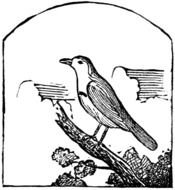 404 Page Not Found Error Ever Feel Like Youre In The Wrong Place N32