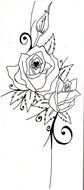 drawn swirl elements and rose