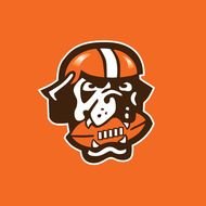 Cleveland Browns Helmet Logo N3