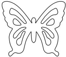 The Butterfly Symbolizes Thetransformation