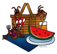 Summer picnic clipart