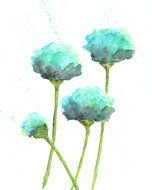 Abstract Poppies drawing