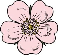 Free Vector Wild Rose Clip Art 114723 Hightpng