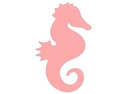 Pink Seahorse Panda Free Images