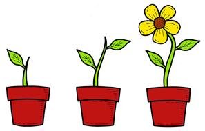 Clip Art about the flower growth