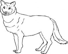 Wild Animal Wolf Printable Coloring Pages