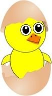 Funny Chick Cartoon Newborn Coming Out From The Egg With A Chocolate N3