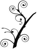 branch with curls as a picture for clipart