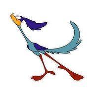 Road Runner Bird Cartoon N4