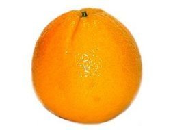 ripe orange on a white background