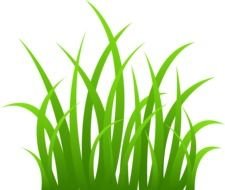 green grass silhouette