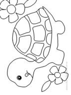 painted white turtle in coloring book