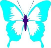 cute blue butterfly drawing