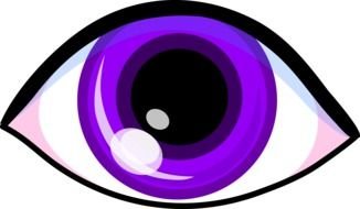 purple eye on a white background