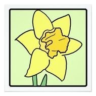 Cartoon Daffodil Spring Garden Flower 525x525 Square Paper