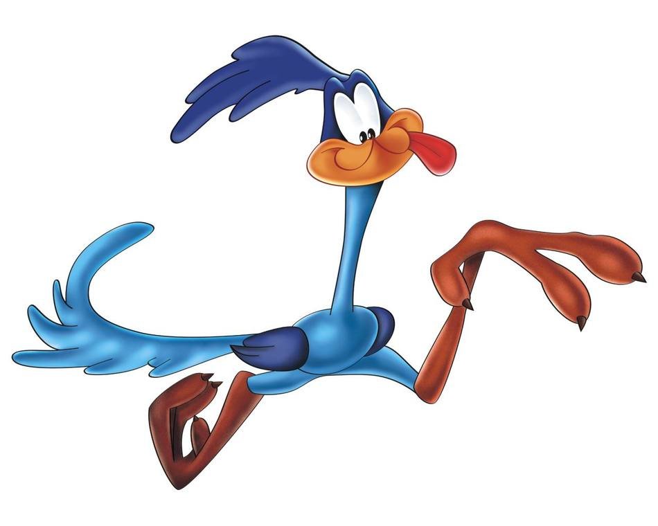 American bird drawing
