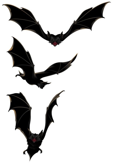 Bat set drawing