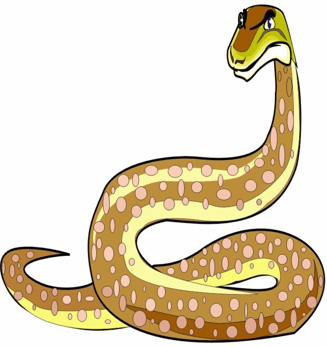 Python03gif